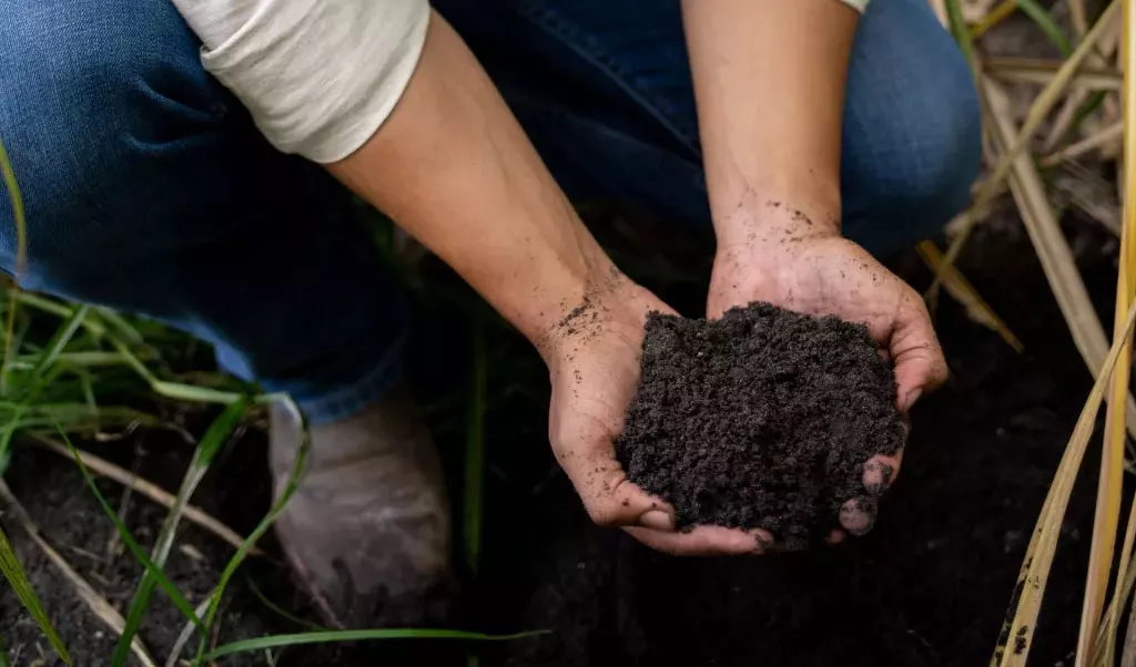 Florida Crystals® Celebrates National Organic Month with New Packaging and 100,000 Tons of Organic Compost Milestone